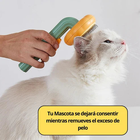 Peth Brush Mascota